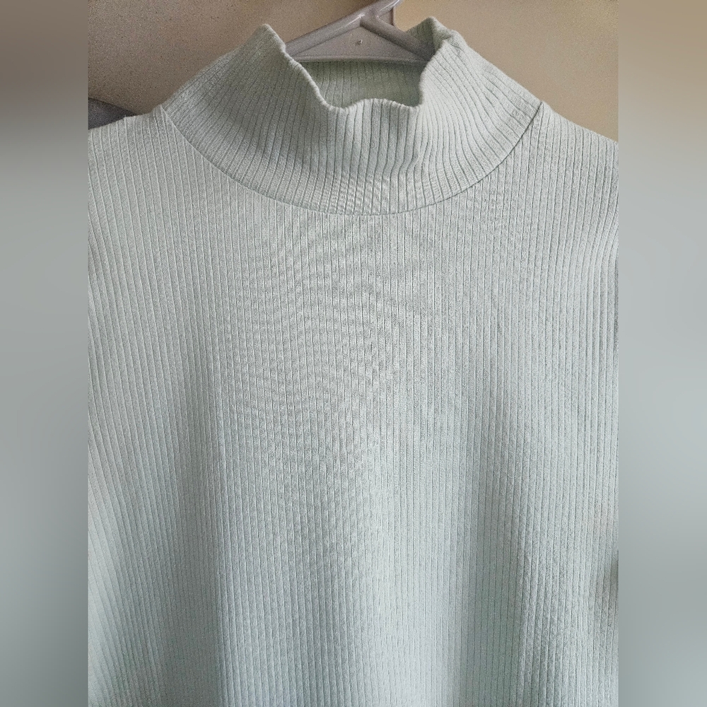 Maeve By Anthropologie Light Green/Sea Blue Long Sleeve Mock Neck Top - Picture 5 of 11